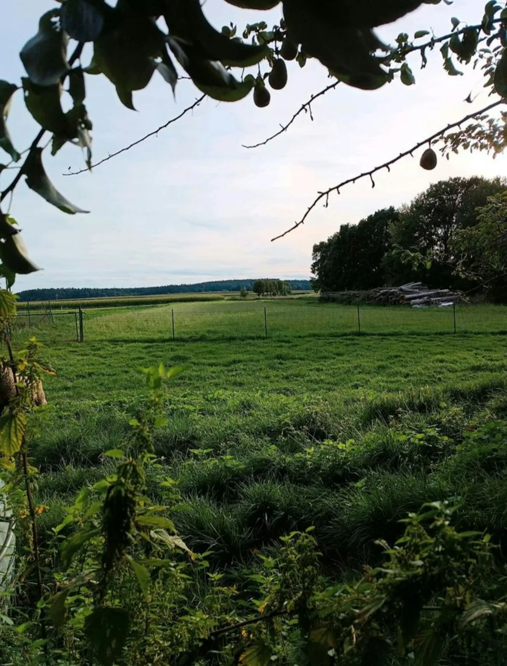 Eisenbahn trifft Landromantik