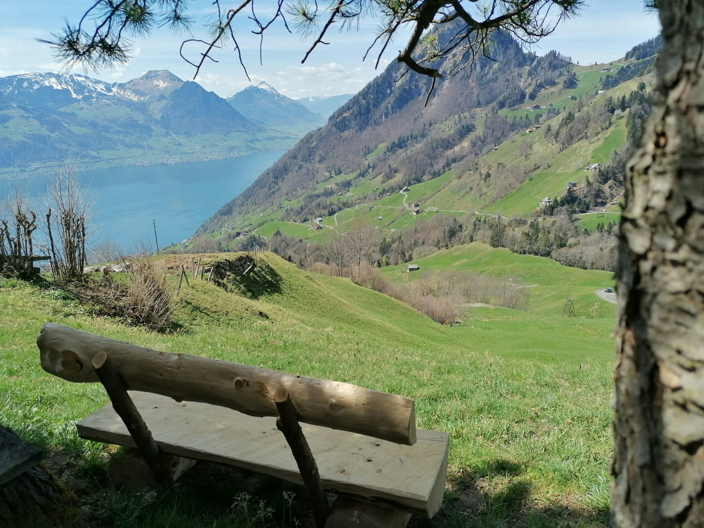 Ferienhäuschen Oberkäppeliberg