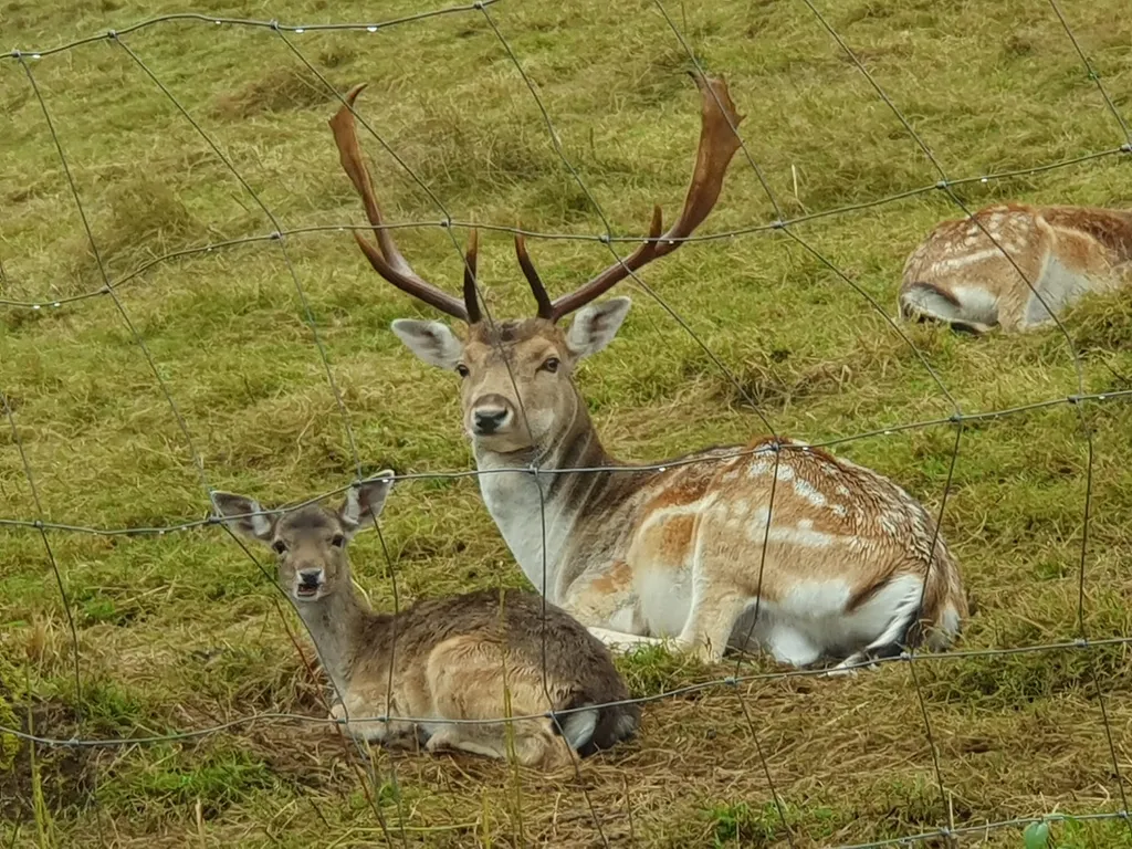 Bild von Sandy & Roli für den Spot 3689