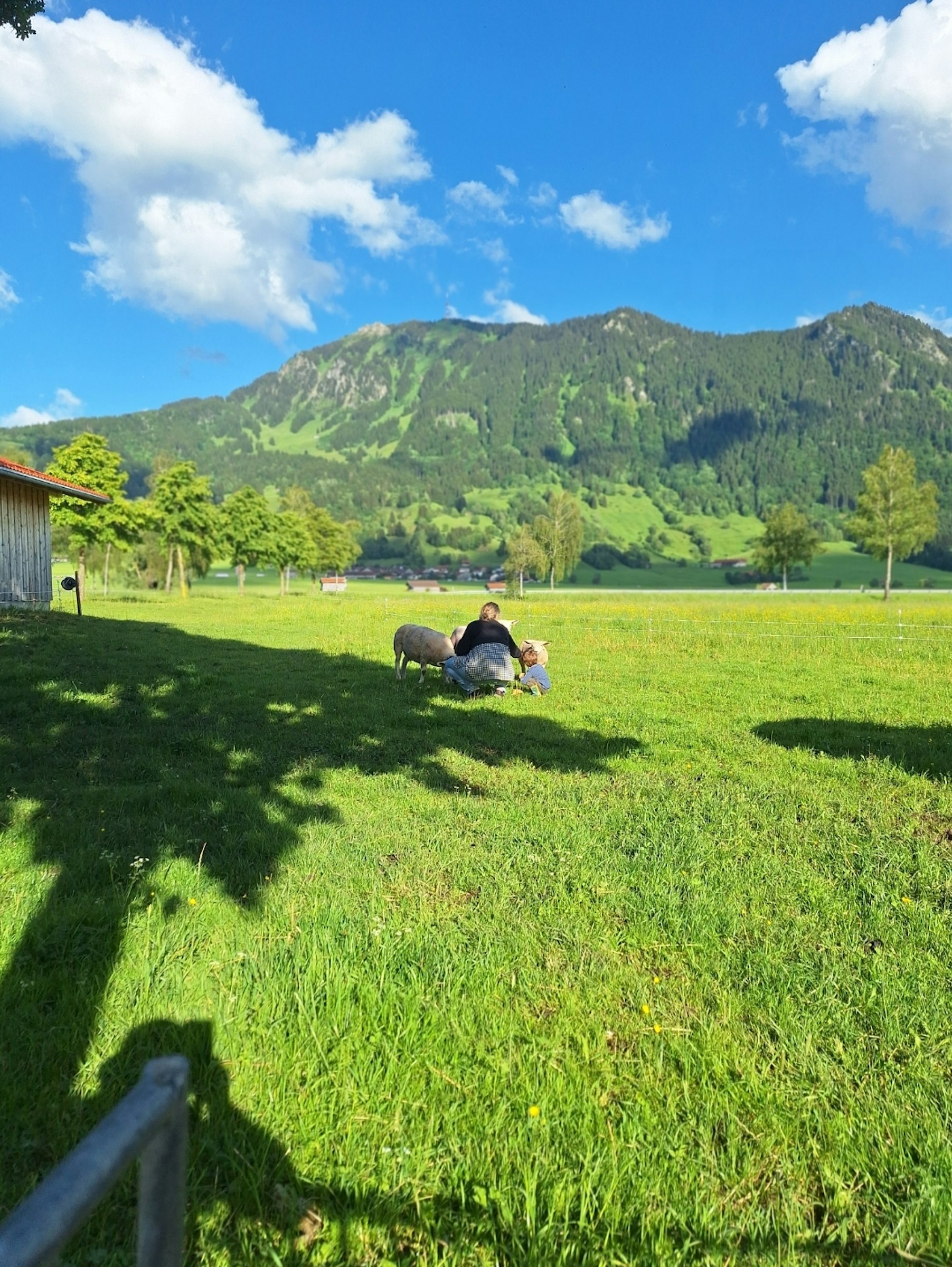 Ruhige Wieseneinfahrt am Bachlauf