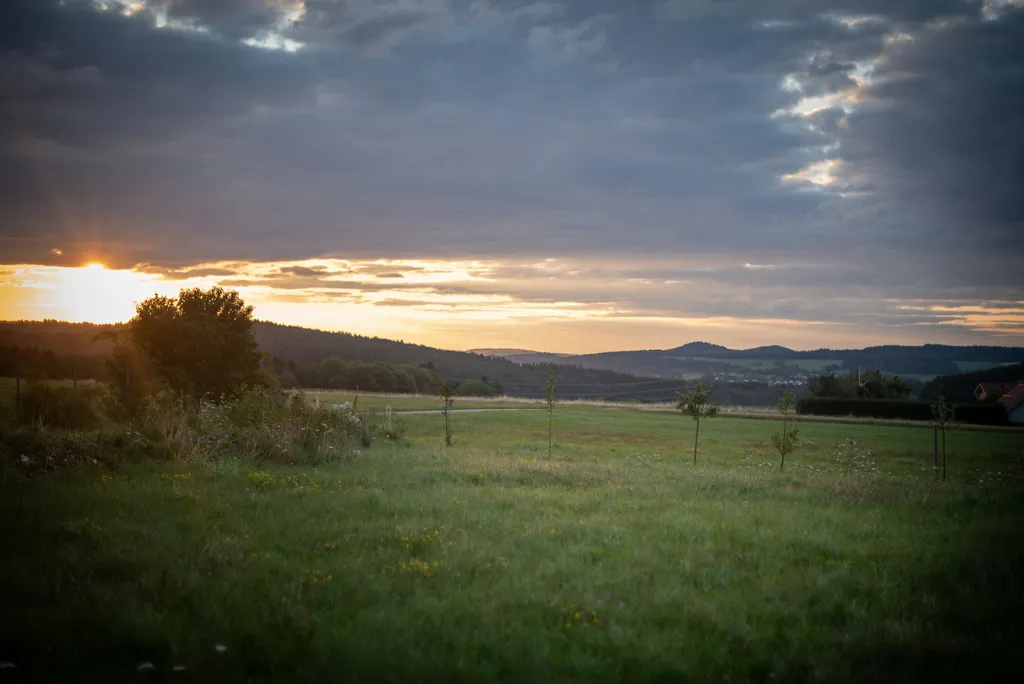Blumenwiese am Ortsrand