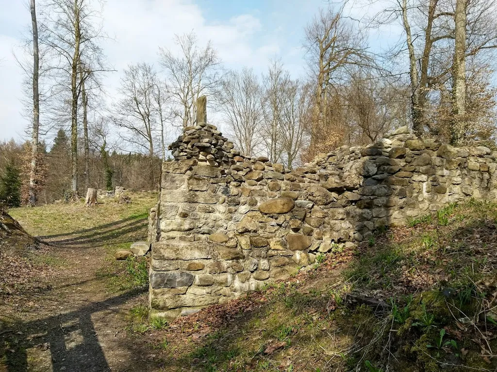 Die Ruine Altenburg im Wald.