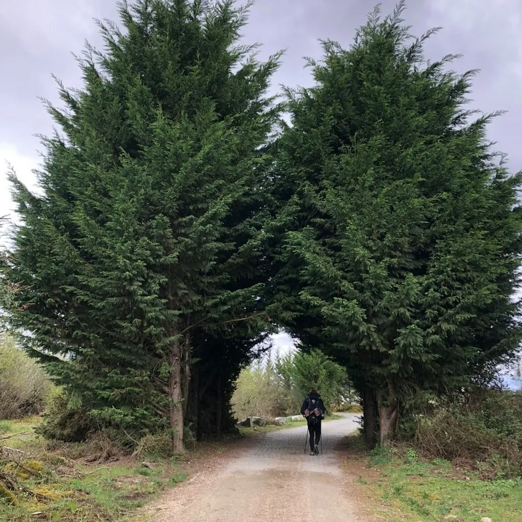 Profilbild von Tatjana