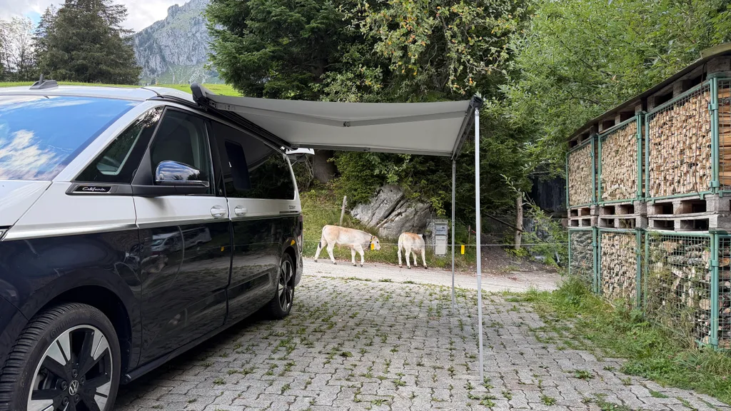 Bild von Felice für den Spot 313