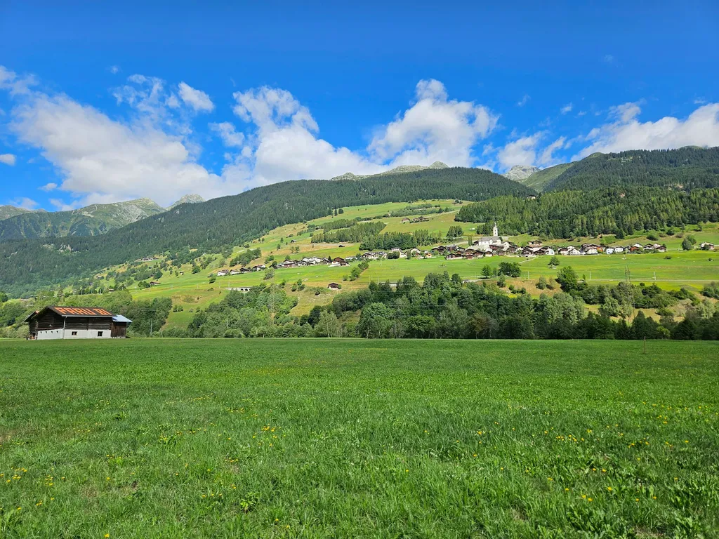 Auf unserem Hof / Luna-o-Sol