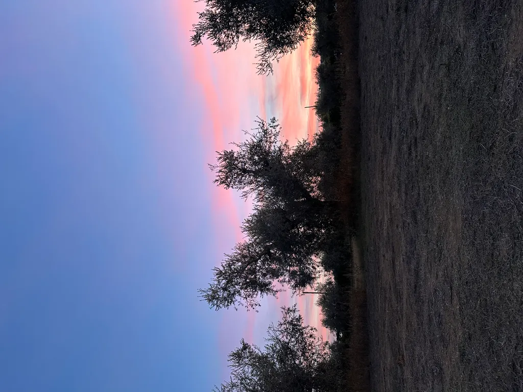 Bild von Ronja für den Spot 1047