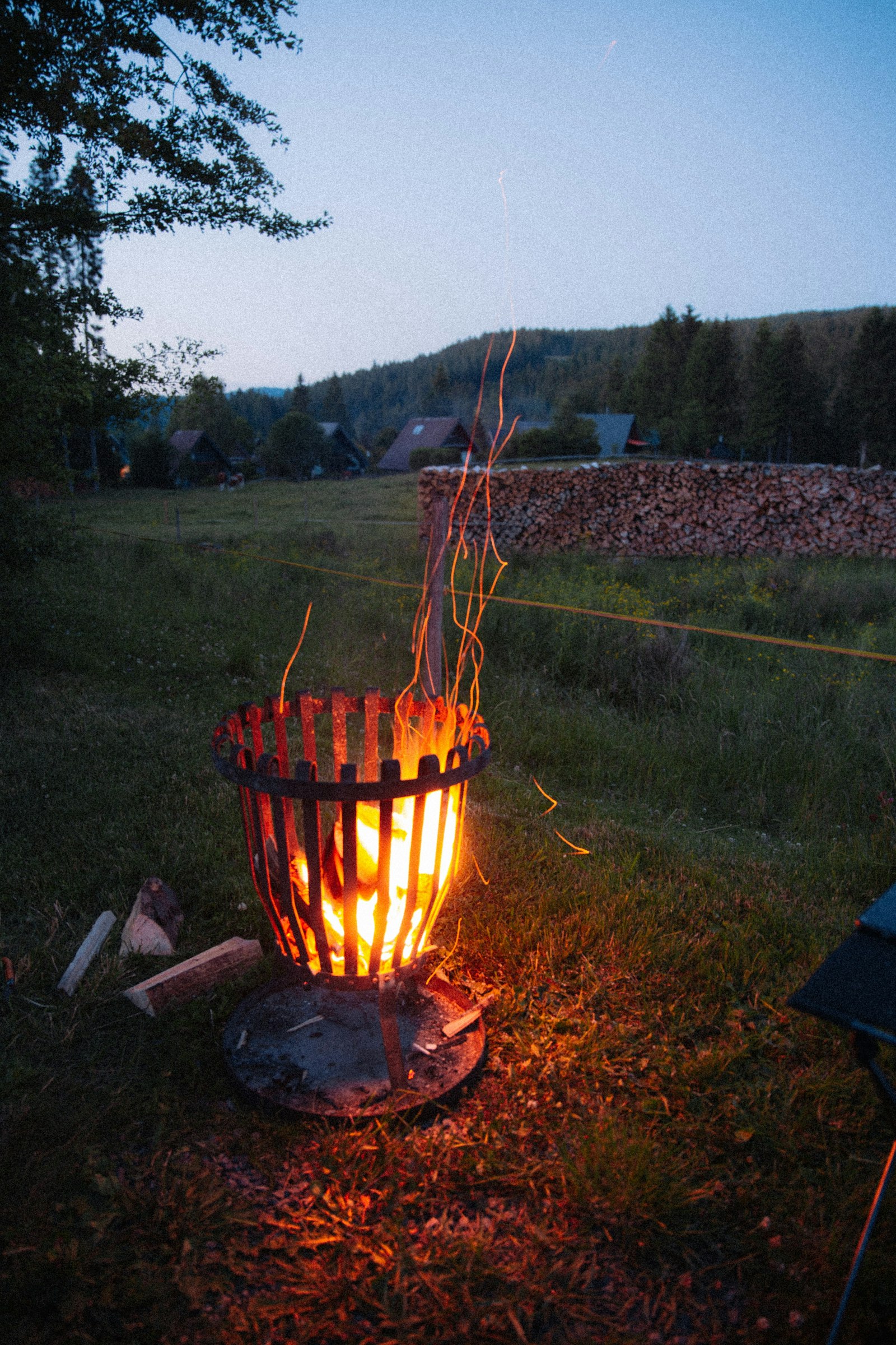 Plätzchen an der Sommerweide — photo 7
