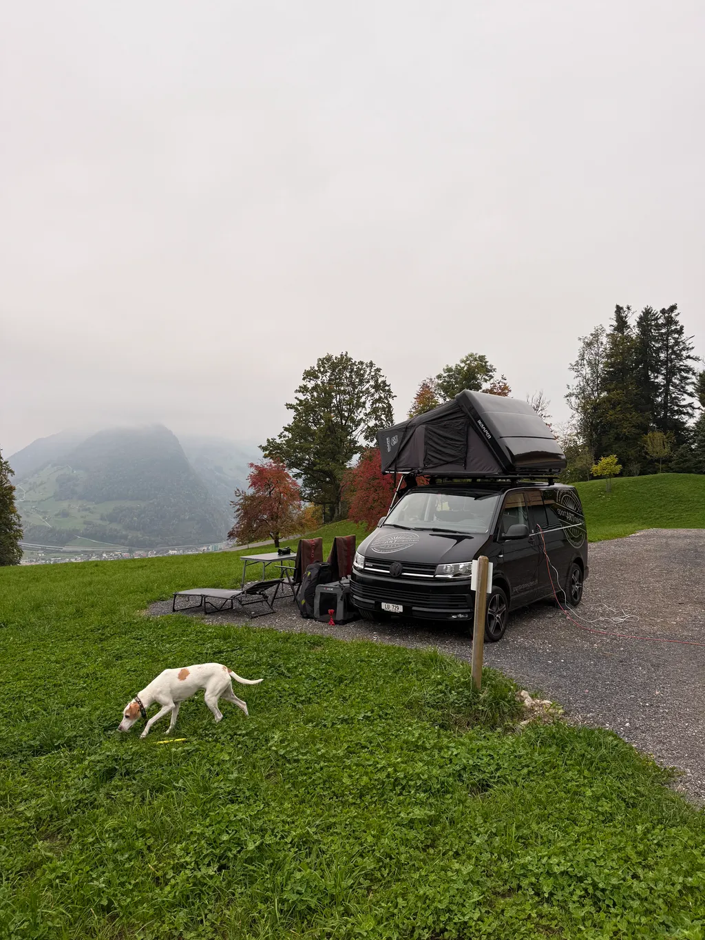 Bild von Beatrice für den Spot 174