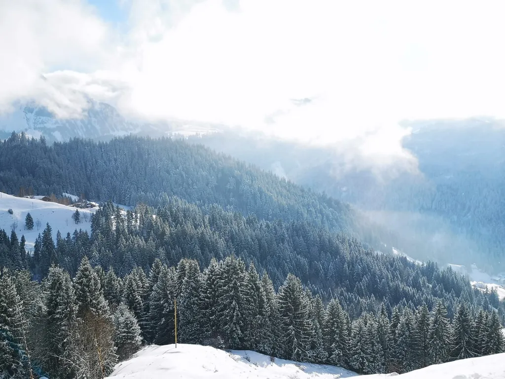 Bergnest in märchenhafter Alpenkulisse