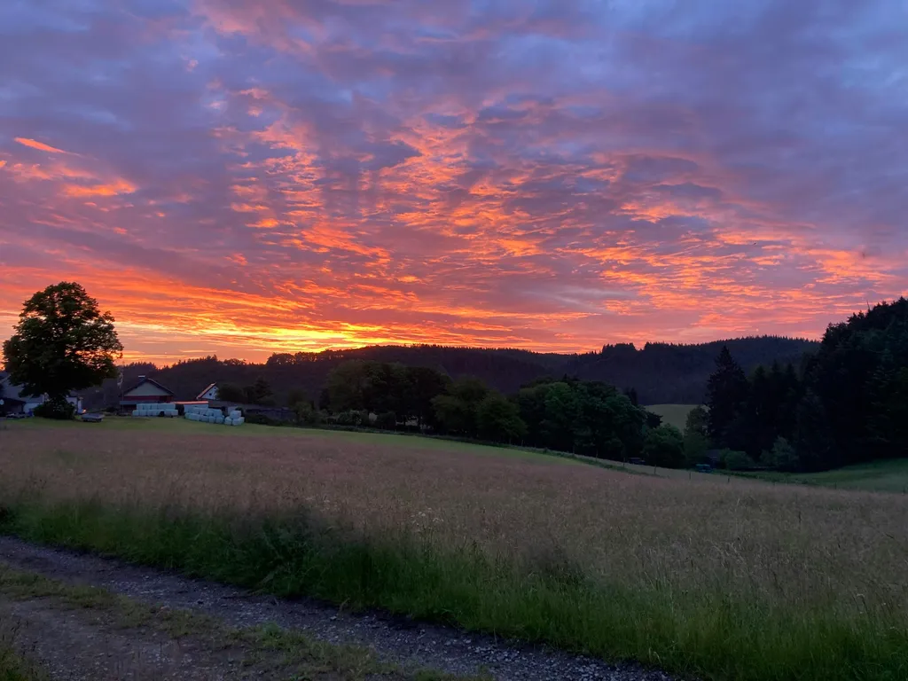 Waldbucht-Zauber inmitten der Eifel