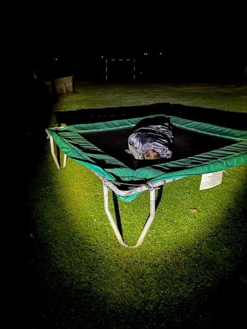 Bild von Stefan für den Spot 234