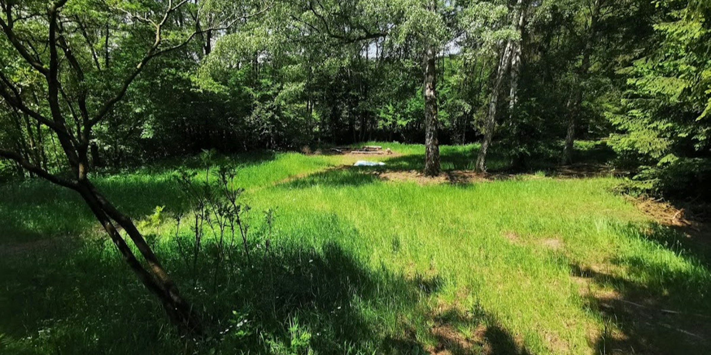 3000m² Waldgrundstück mit Bachlauf