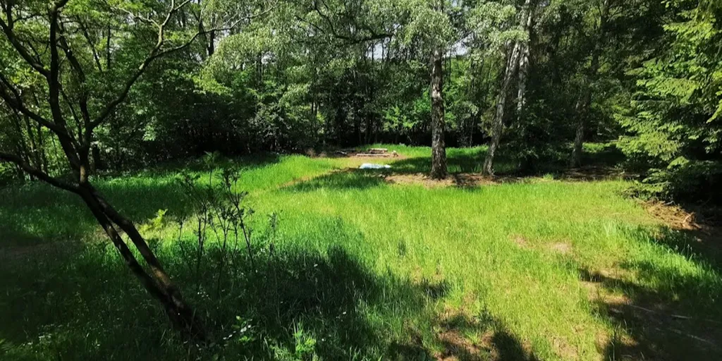 3000m² Waldgrundstück mit Bachlauf