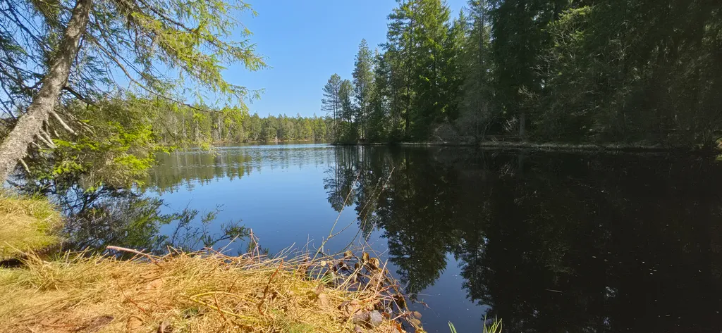 Bild von Thomas für den Spot 875