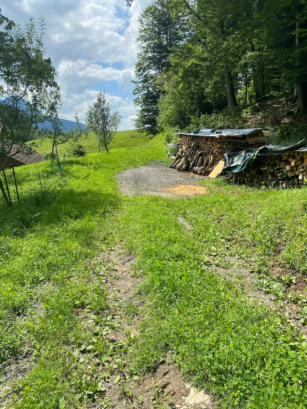 An der Wangauer Ache