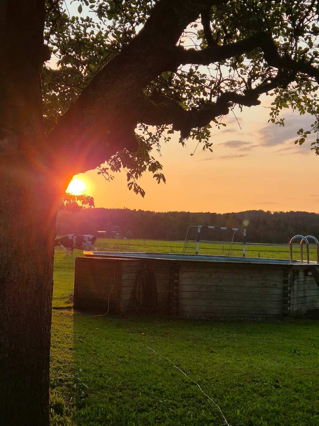 Bild von Tanja für den Spot 234