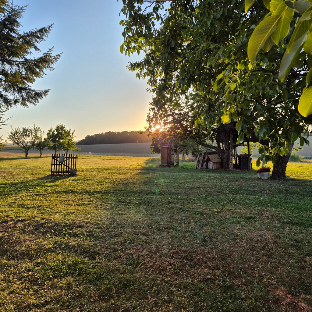 Zwischen Obstbäumen mit Weitblick