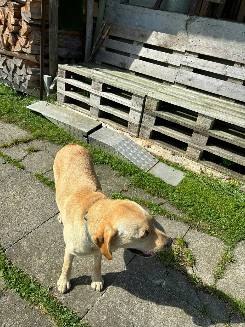 Baldegger-See