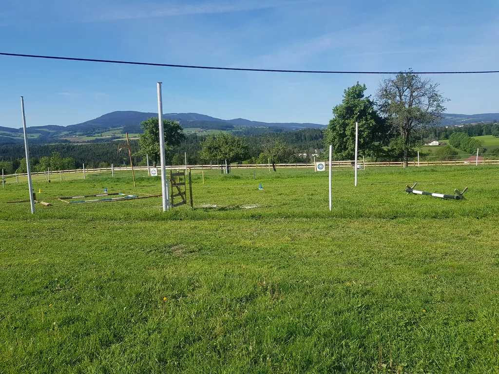 Camping Skill Horse Ranch