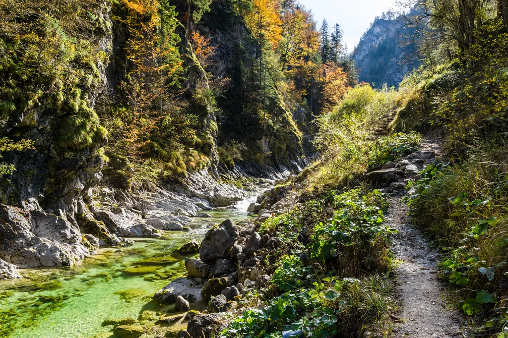 Wanderweg in den Ötschergräben (45 min vom Zeltplatz entfernt)
