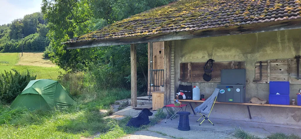 Bild von Moni für den Spot 3901