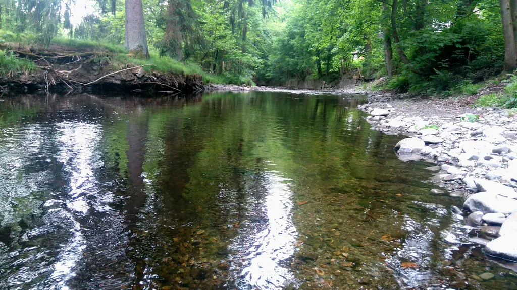 Paradies im Siebertal
