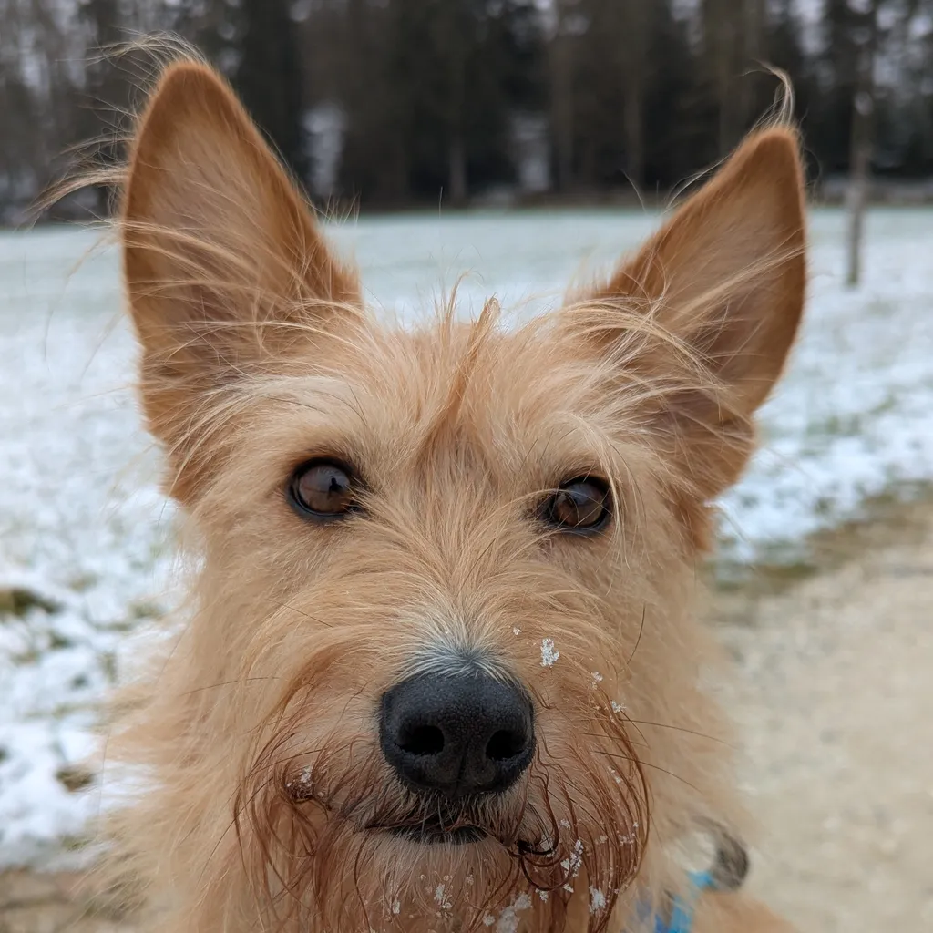Profilbild von Thomas