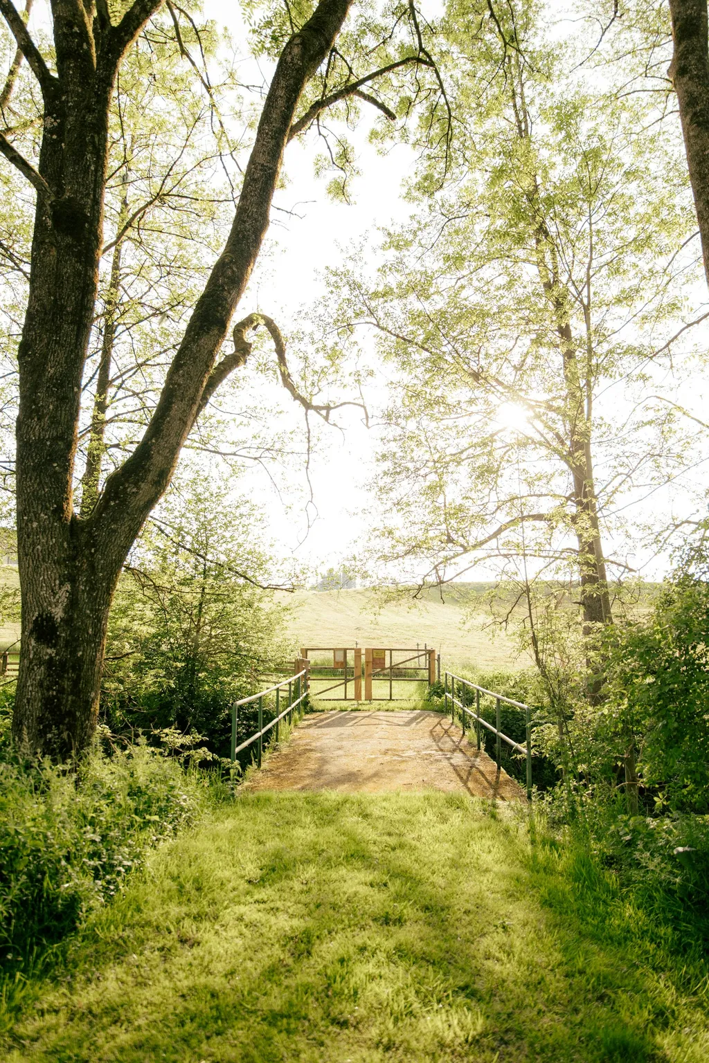 Hundewiese an der Wolfegger Ach 🐶