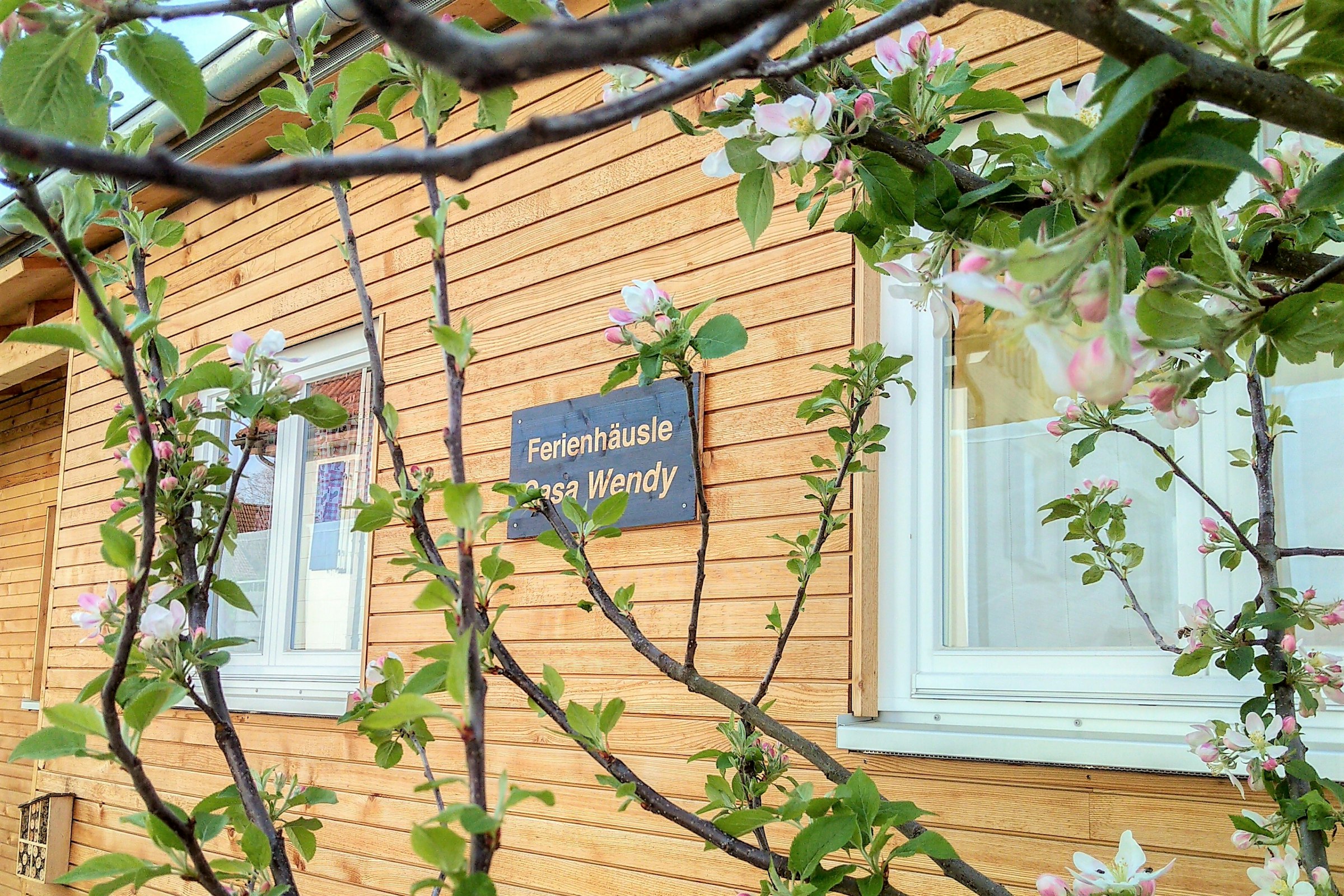 Schwarzwaldurlaub im Tiny-Häusle