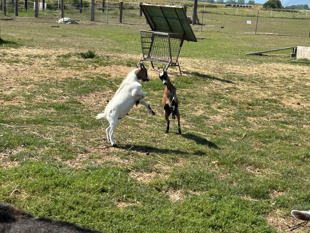 Bild von Sebastian für den Spot 2014