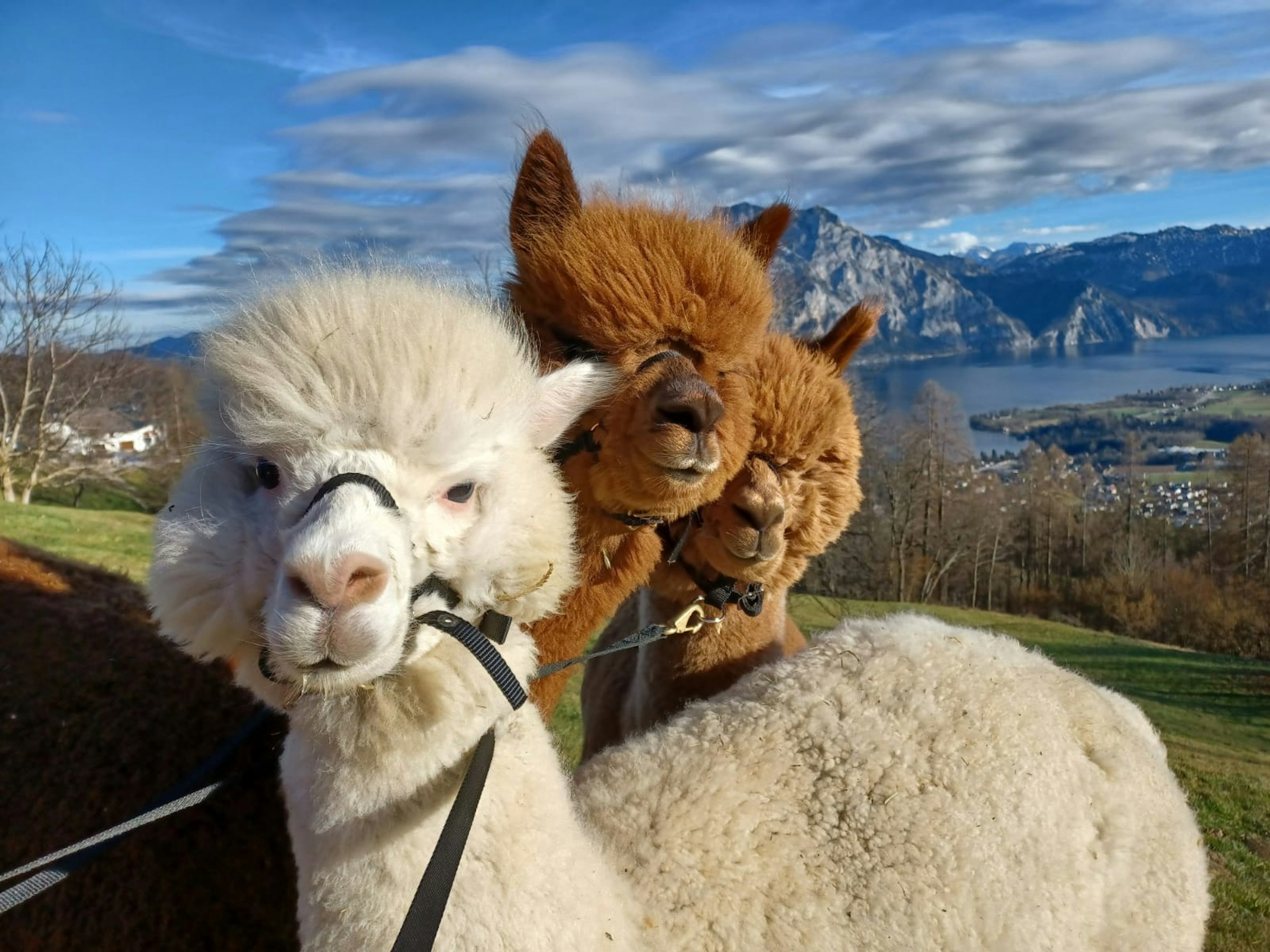 Höchster Punkt des Gmundnerberges