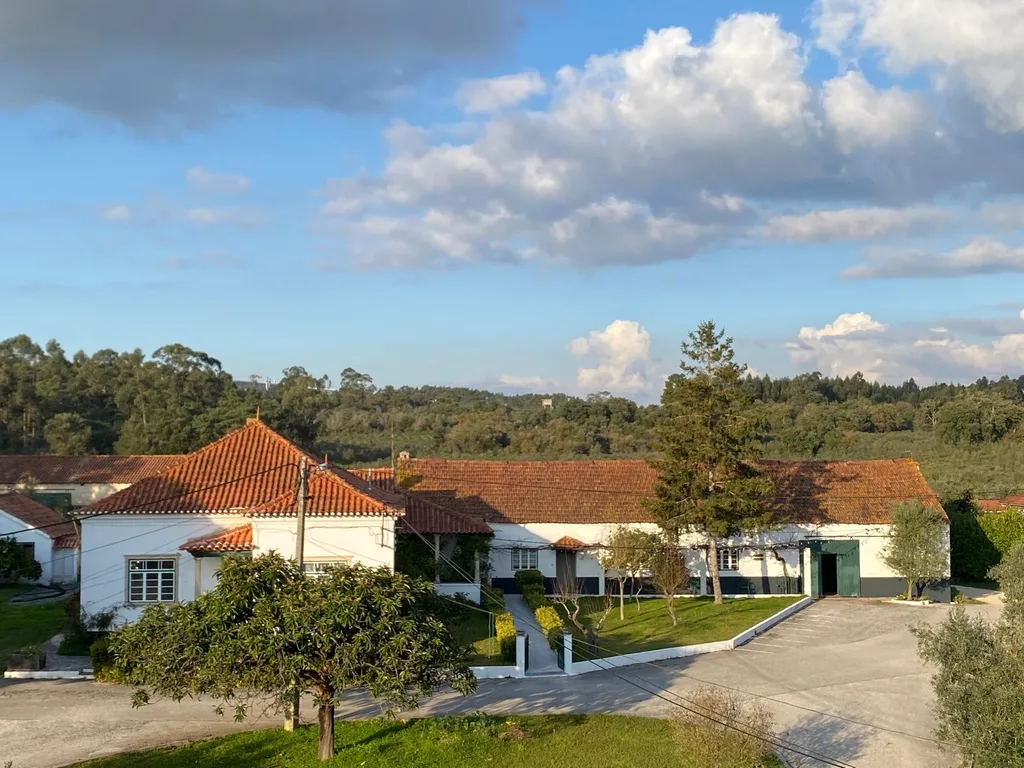Camp in an Olive Grove & Tour our Historic Mill