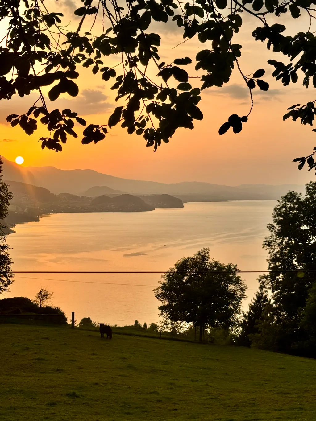 Bild von Tamara für den Spot 1300