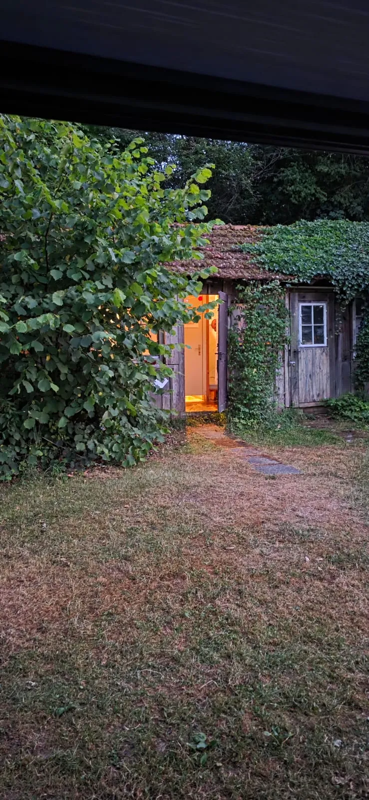 Bild von Alfred für den Spot 470