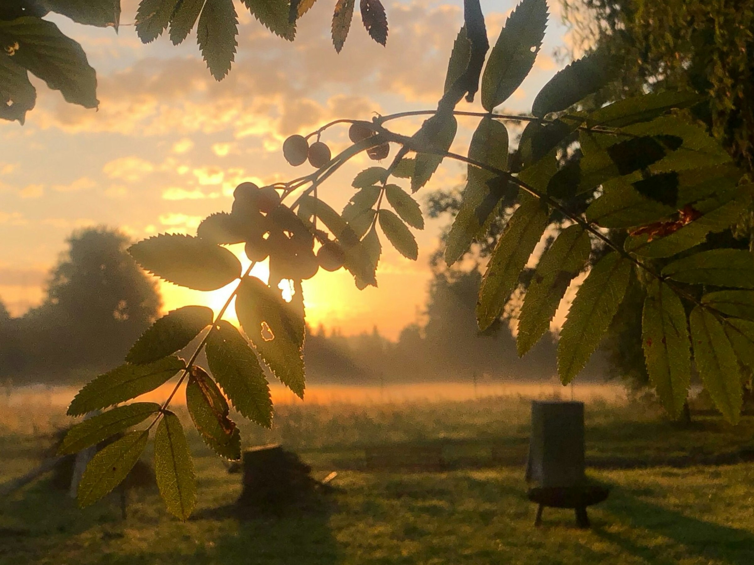 Sonnenaufgang an der Kahnseite