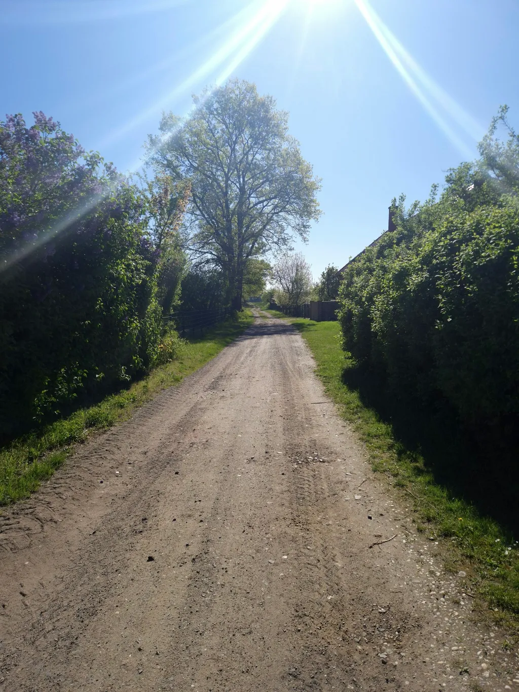 Loppis Camping Wiese Bronkow