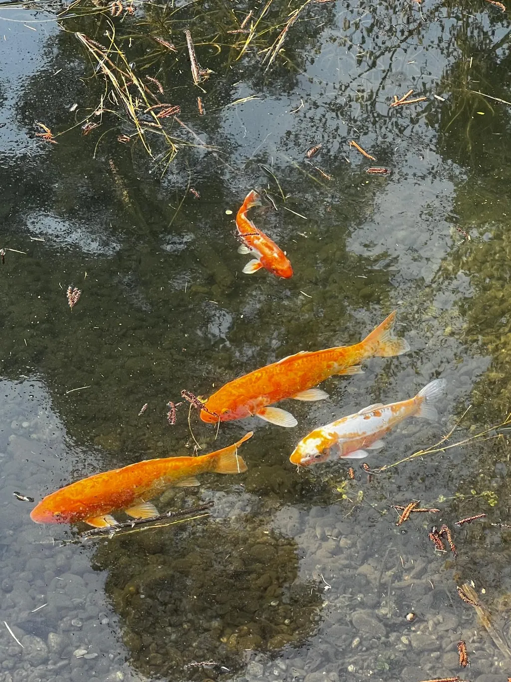 Bild von Hans für den Spot 1573