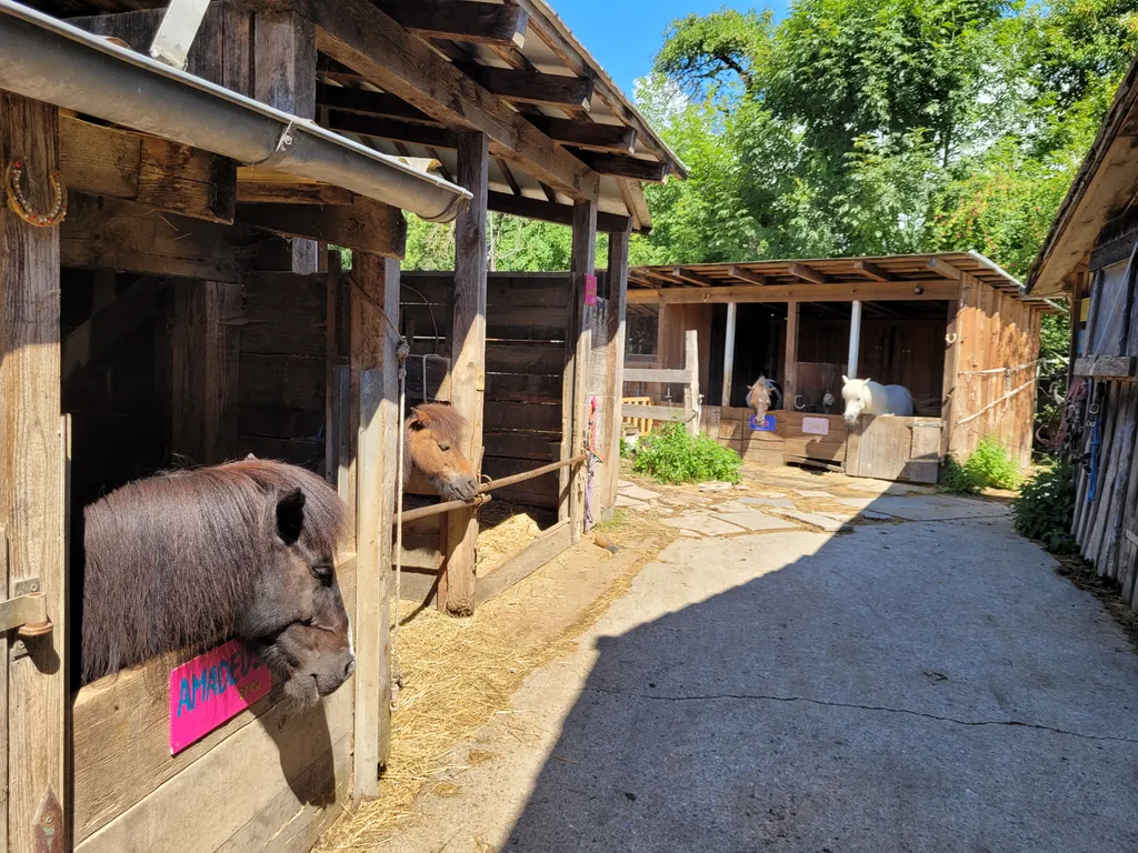 Bild von Nadine für den Spot 3647