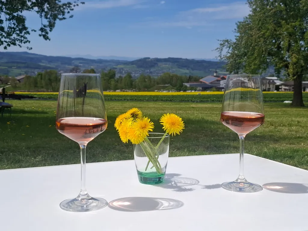 Natur pur: Bauernhof mit Panorama in Schongau LU