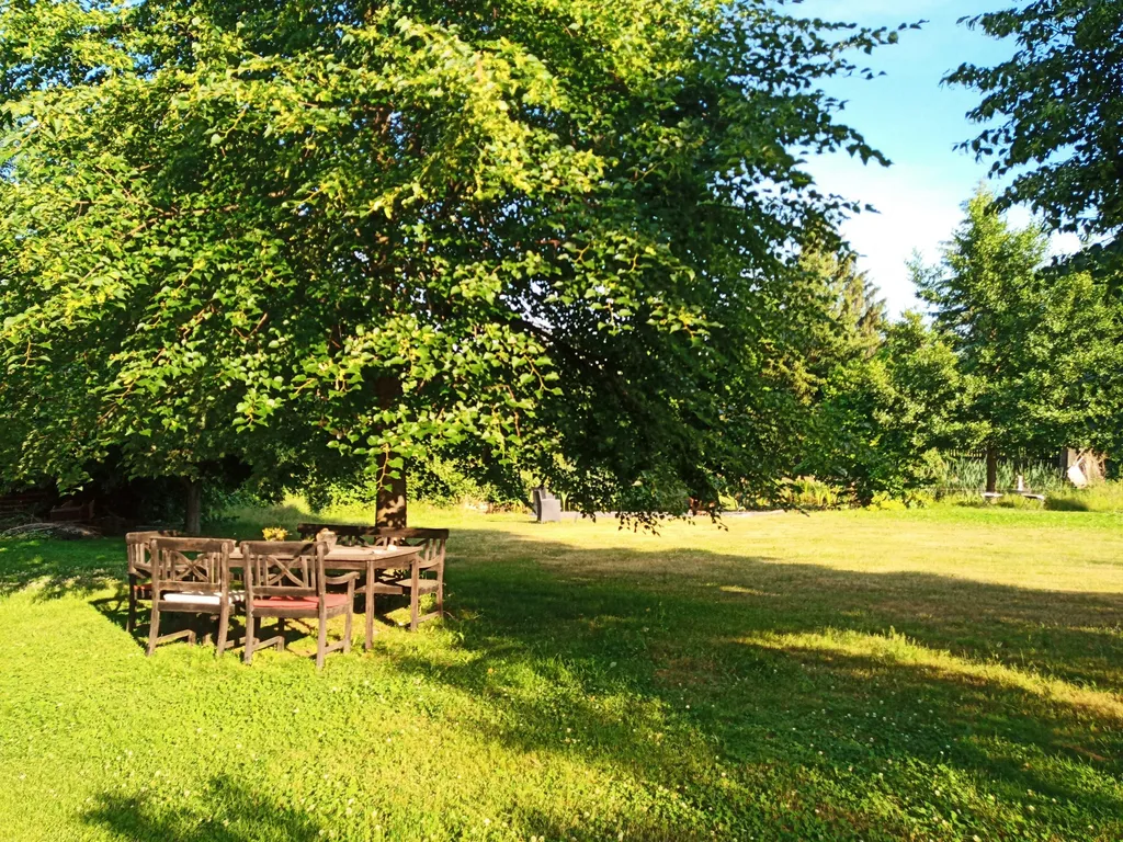 Sichere Wiese mit Naturteich