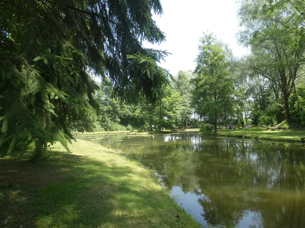 Blick in den Wassergarten bei NaturOH in Gescher