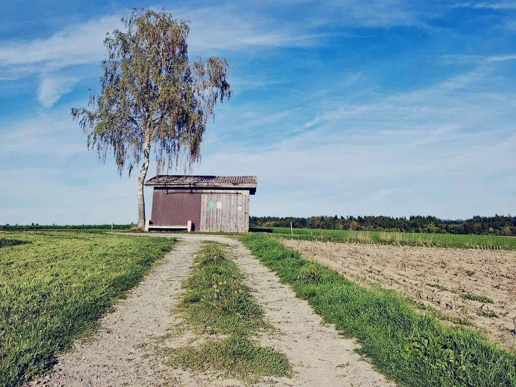 Naturcamping Oberfeld – Ruhe & Bergpanoramablick