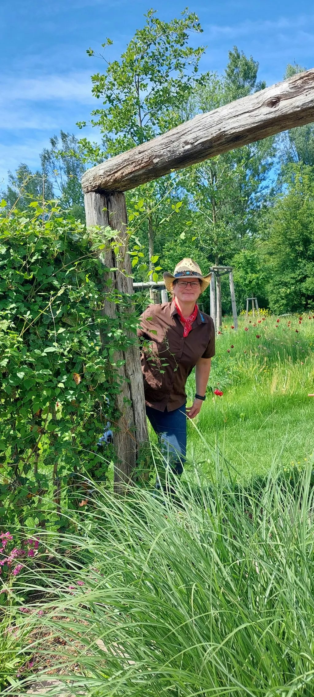 Profilbild von Birgit