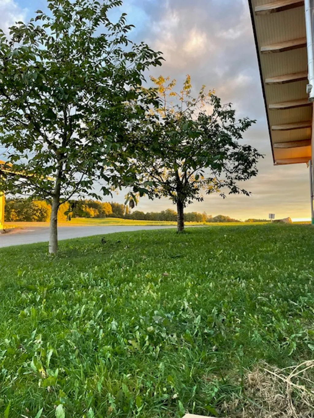 Entspannen am Steindlhof im Grünen