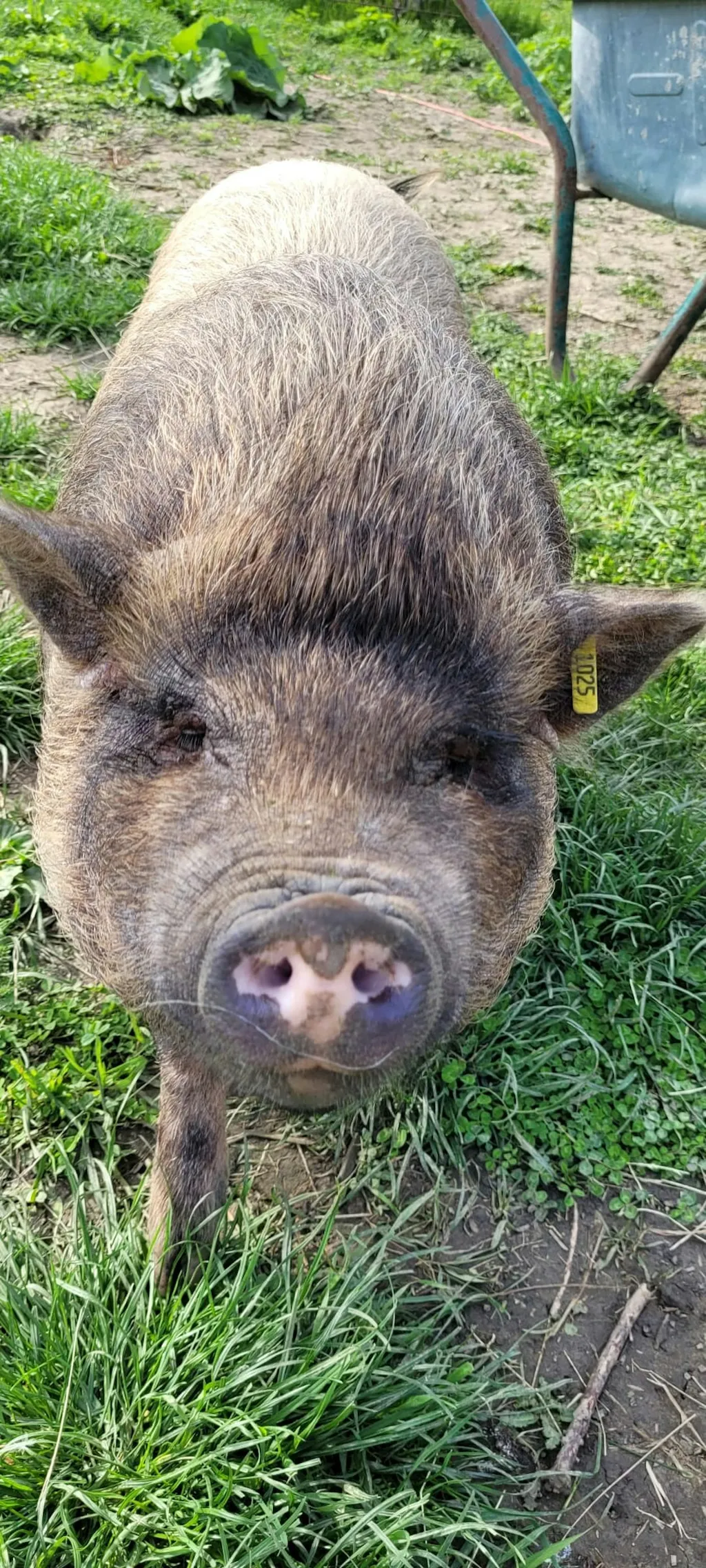 Gnaden-Begegnungshof Sandlerranch