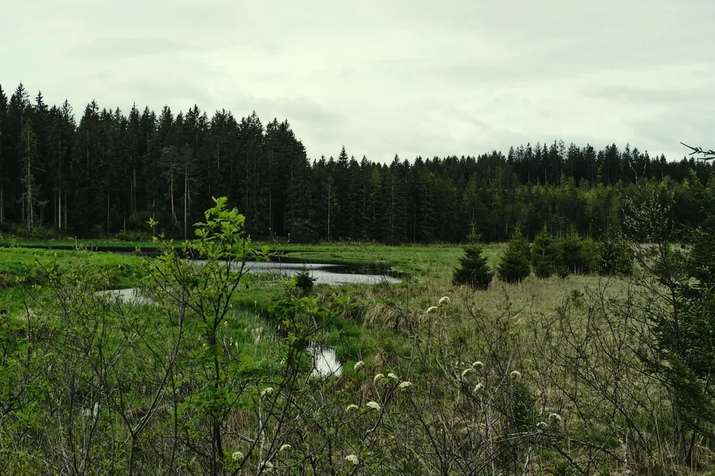 Irgendwo im Nirgendwo