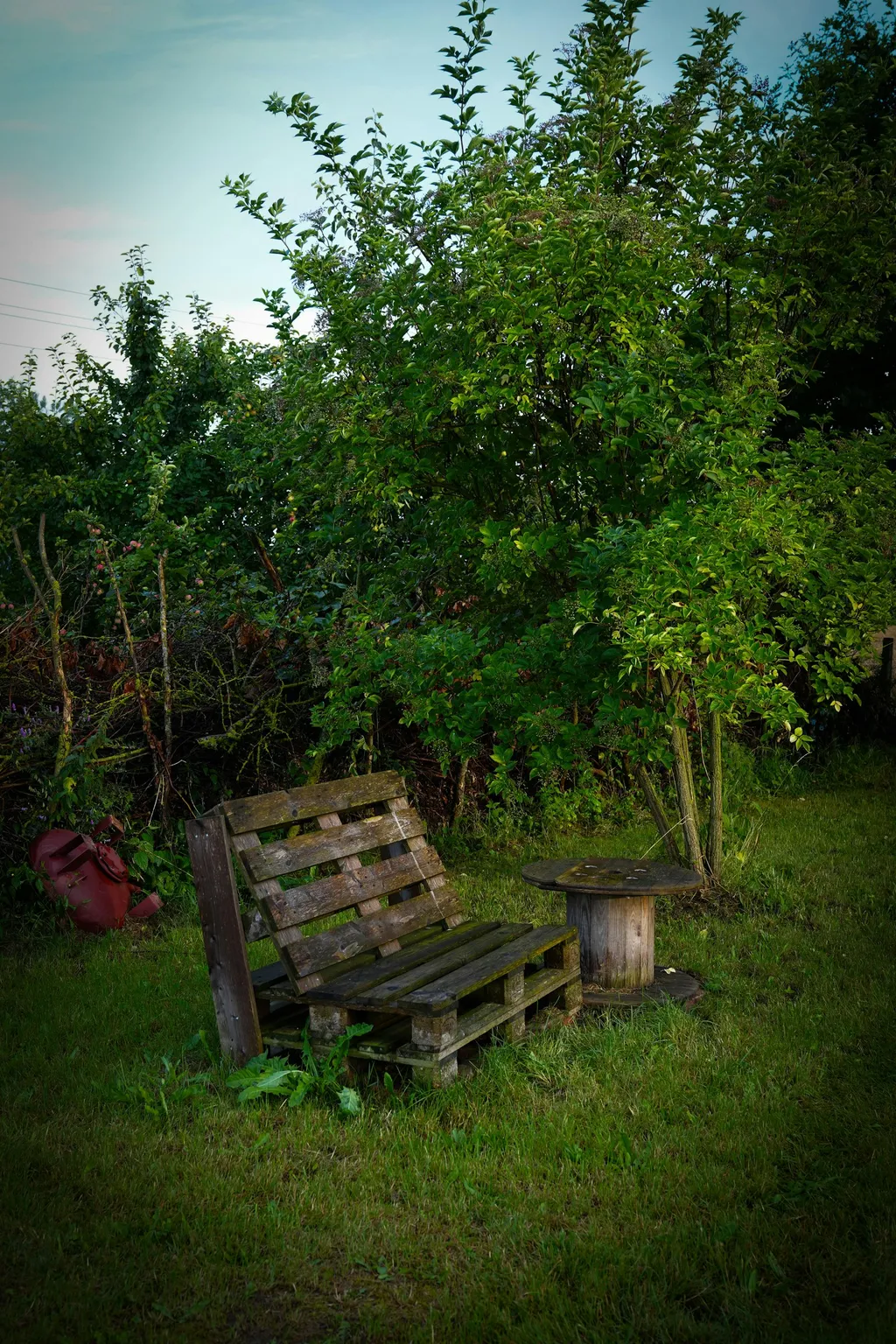 Obstwiese in Ostseenähe bei Wismar