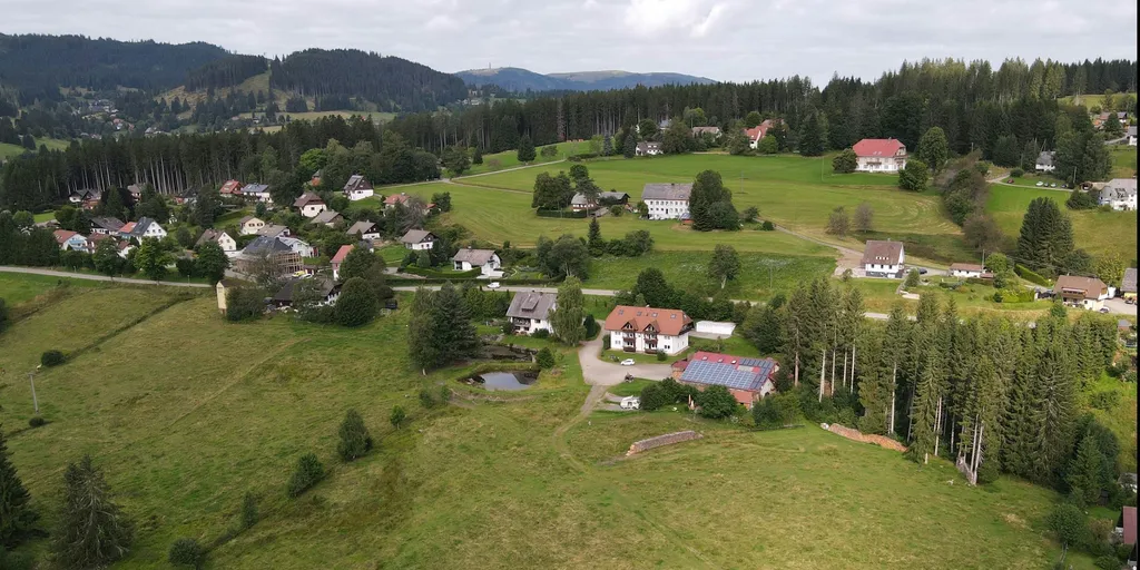 Plätzchen an der Sommerweide