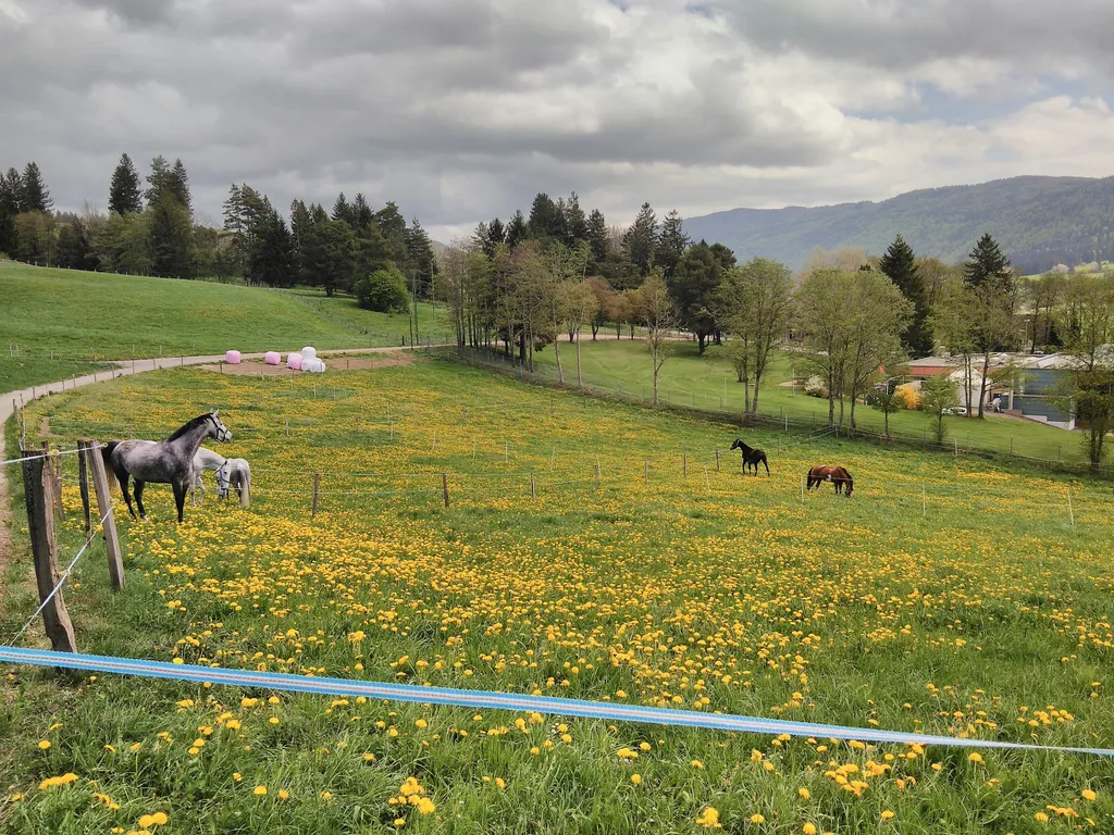 La place de Champs Rougeux