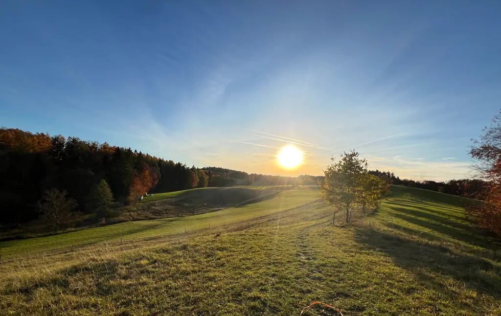Wiesen Wald Bergsicht